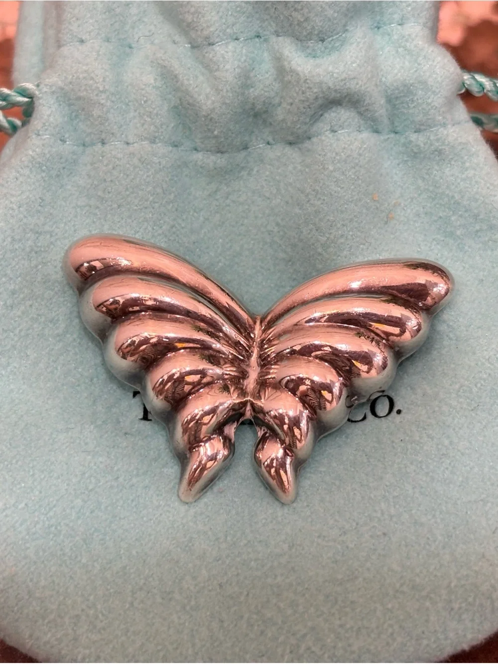Tiffany & Co. Sterling Silver Butterfly Brooch With Dust Bag & Box Included